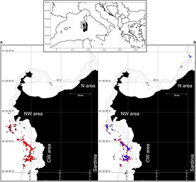 Onboard Scientific Observers Provide a Realistic Picture of Harvesting and Management Priorities for the Precious Red Coral (Corallium rubrum L.)